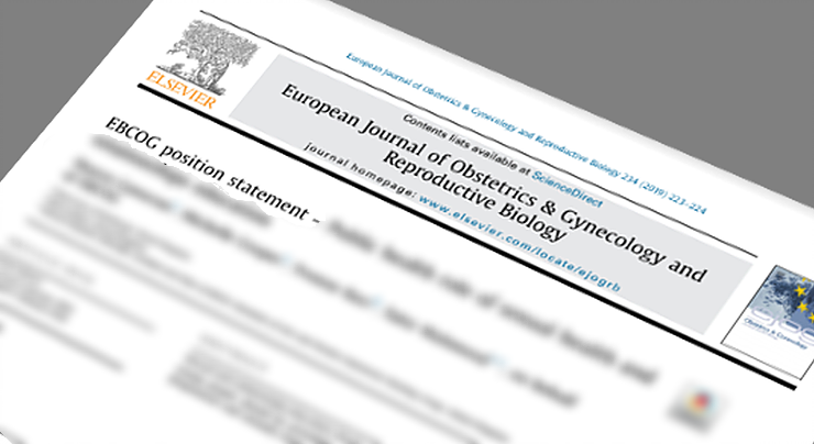 EBCOG position statement – inequalities in antenatal care provision in Europe: In the wake of an EBCOG survey